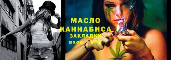 гидра Няндома