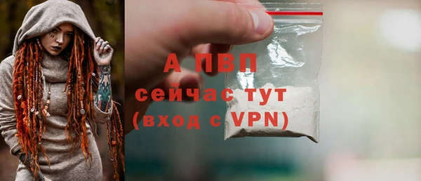 гашик Осинники