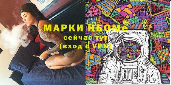 гашик Осинники