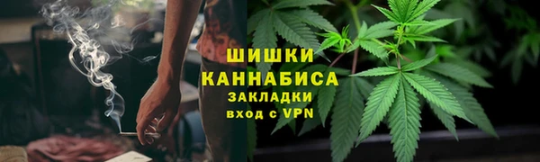 гидра Няндома