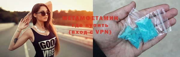 гидра Няндома