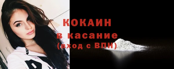 гашик Осинники