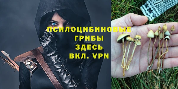 спайс Осташков