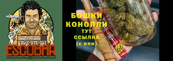 гашик Осинники