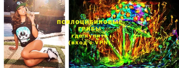 гидра Няндома