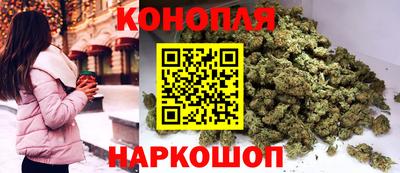 дмт Славгород