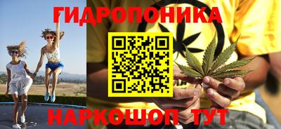 дмт Славгород