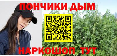 прущие грибы Сланцы