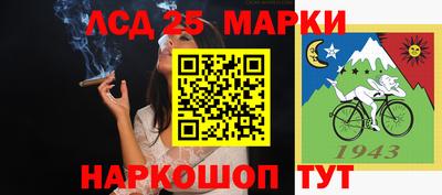 прущие грибы Сланцы