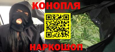 прущие грибы Сланцы