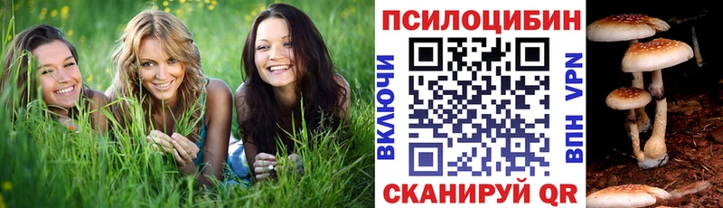 Псилоцибиновые грибы Cubensis Уфа