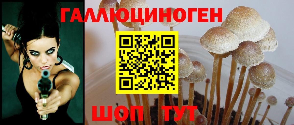 Псилоцибиновые грибы Psilocybe Уфа