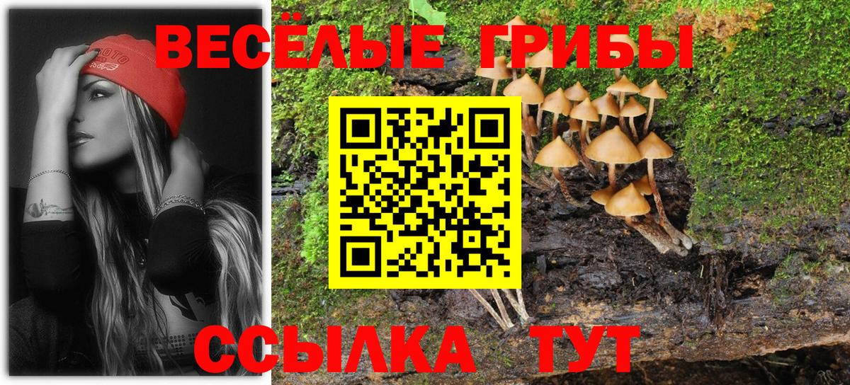 Псилоцибиновые грибы Psilocybine cubensis  где найти наркотики  Уфа  Псилоцибиновые грибы Psilocybine cubensis 